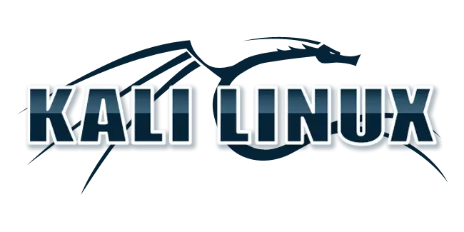 Kali Linux Installation Service Provider Company