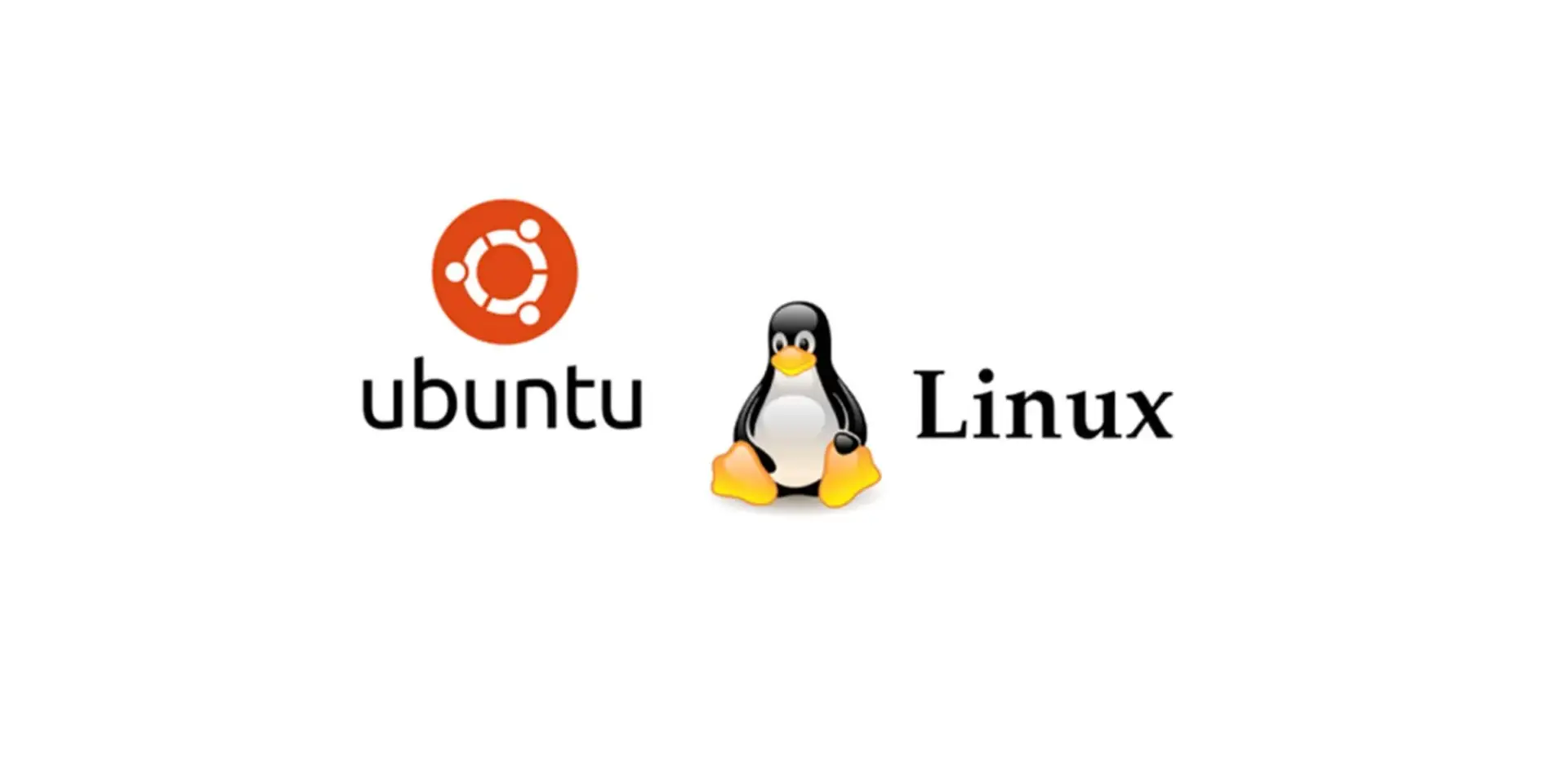 Ubuntu Linux Installation Service Provider Company